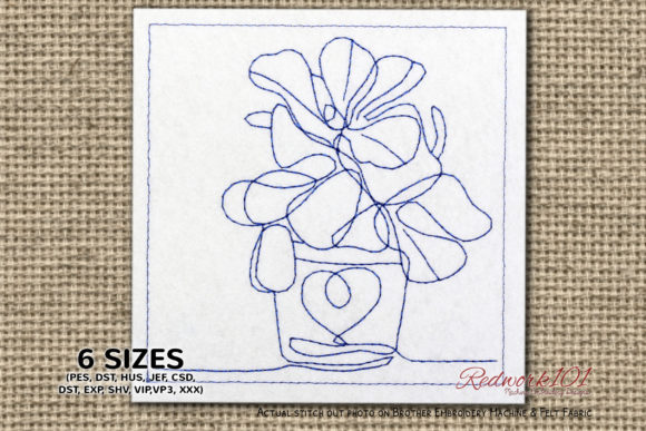 Reviewing the Crassula Succulent for Holiday Crafts